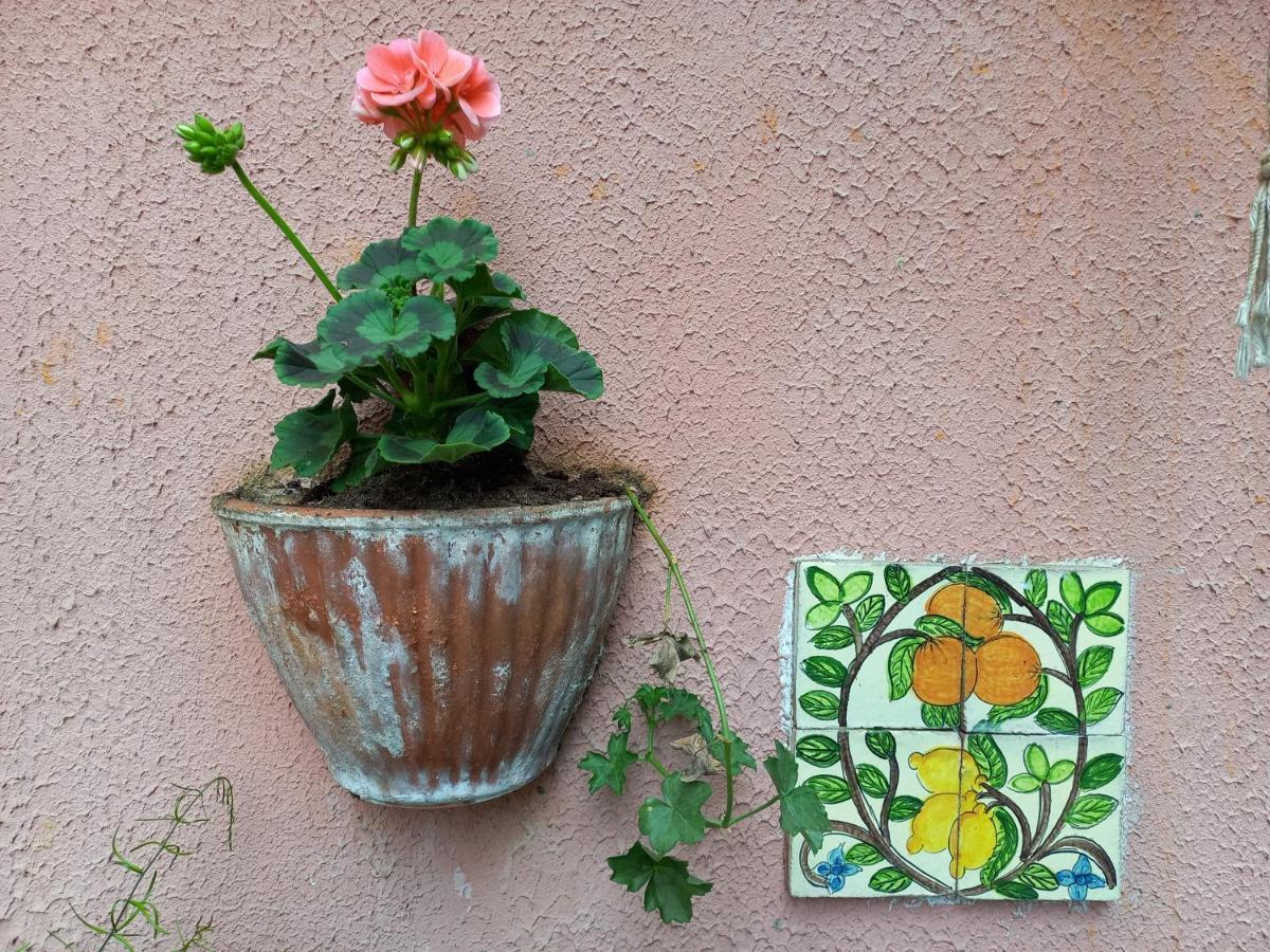 Antica Casa Al Lago Oggebio 外观 照片